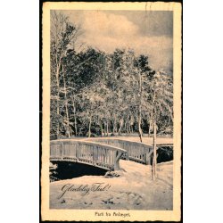 Parti fra Anl�get - Gl�delig Jul - B.T. Centralen u/n - Brugt