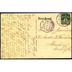 Vejstrup - Petersborg - Mejeriet - Maskinv�rksted - Forsamlingshus - Kbm. P. Henriksen u/n