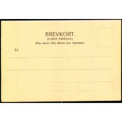 Caroline Amalielund - P. Brandts Bogh. 1064 - Ubrugt