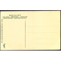 Kbenhavn - Den lille Hornblser - Alex Vincent 34