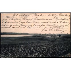 H�ed - Peter Alstrup 2733 - Brugt