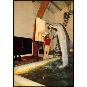 Delfinariet - Ulstrup Slot - Ulstrup - u/n - Ubrugt