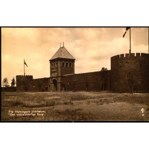 Fra Helsing�rs Jubil�um  