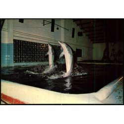 Delfinariet - Ulstrup Slot - Ulstrup - u/n - Ubrugt