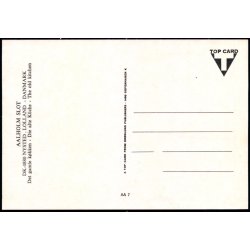 Aalholm Slot - Top Card AA7 - Ubrugt