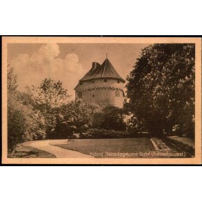 Nyborg - Slotsanl�get med Slottet (Nationalmus�et) - Skandinavisk Rep. u/n - Ubrugt