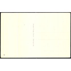 Mindebr�nden i Helsing�r (Erik af Pommeren)  - Stender H. 368 - Ubrugt