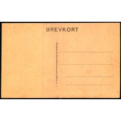 Nyborg - Slotsanl�get med Slottet (Nationalmus�et) - Skandinavisk Rep. u/n - Ubrugt