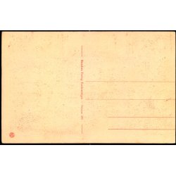 Odense - Den store H�ngeb�g i Kongens Have - Stender O. 191 - Ubrugt