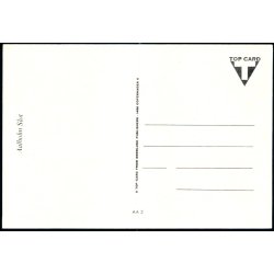 Aalholm Slot - Top Card AA2 - Ubrugt