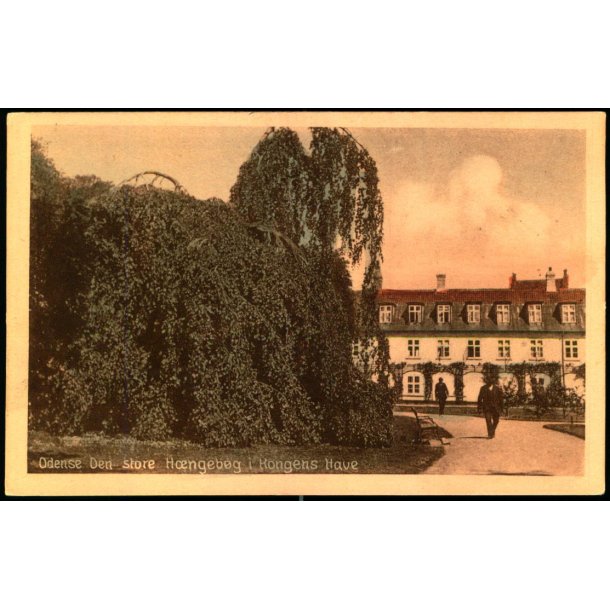 Odense - Den store Hngebg i Kongens Have - Stender O. 191 - Ubrugt