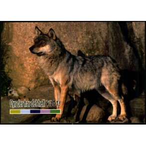 Bjrneparken - Ndager - u/n - Ubrugt