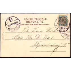 Fru Anna Larssen - A. Gieses Forlag u/n