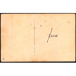 Zoologisk Have i Kjbenhavn - Sort Panter - Zoologisk Have 75784