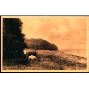 Nyborg - Parti fra Kajberg - Stender 33598 - Ubrugt