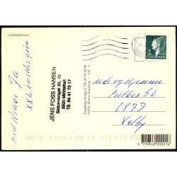 Lillebltsbroen - Trojaborg Lill. 5 - Brugt