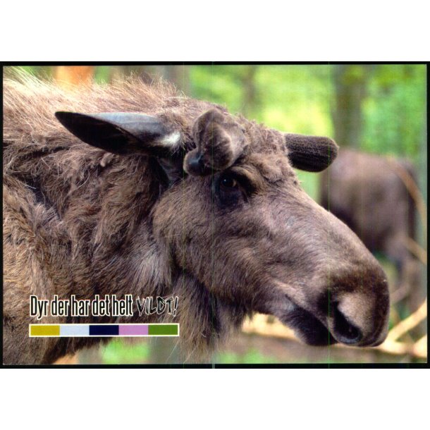 Bjrneparken - Ndager - u/n - Ubrugt