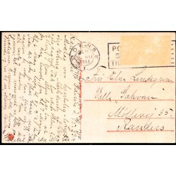 Odense - Den store H�ngeb�g i Kongens Have - Stender O. 191 - Brugt