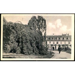 Odense - Den store H�ngeb�g i Kongens Have - Stender O. 191 - Brugt