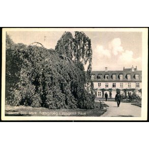 Odense - Den store H�ngeb�g i Kongens Have - Stender O. 191 - Brugt