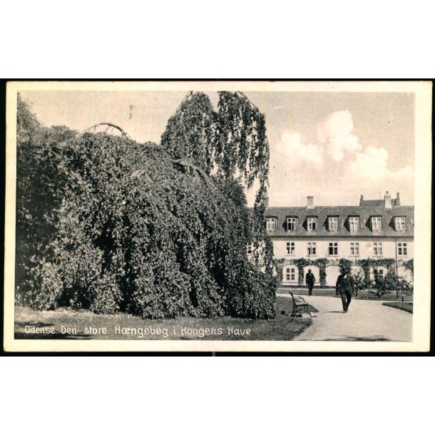 Odense - Den store H�ngeb�g i Kongens Have - Stender O. 191 - Brugt