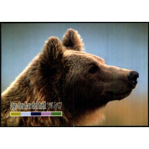 Bjrneparken - Ndager - u/n - Ubrugt