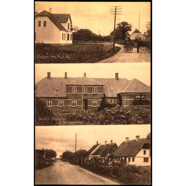 Partier fra Moseby - Moseby Brugsforening 27318 - Ubrugt