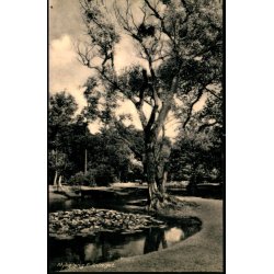 Nyk�bing F. - Anl�get - Rudolf Olsen 6699 - Brugt