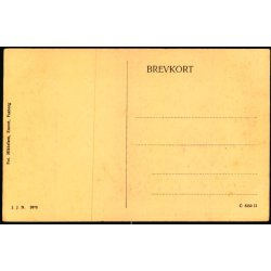 Sanatoriet med Funktion�rbolig - Nakkeb�lle Fjord -  M. Mikkelsen/ J.J.N. 3970 - Ubrugt