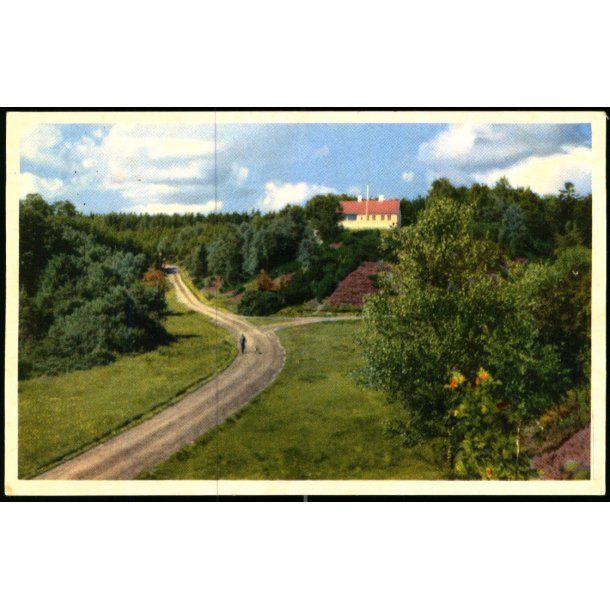  Mors - Legind Bjerge - Stender 5 - Ubrugt