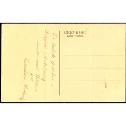 Brahetrolleborg Park set fra M�llebakken - Fotograf A.M. Krog u/n - Ubrugt