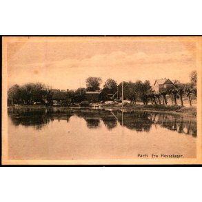Parti fra Hesselager - H. Andr. Hansen 49127 - Ubrugt