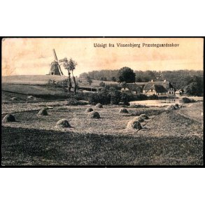 Udsigt fra Vissenbjerg Pr�stegaardsskov - BPM u/n - Brugt