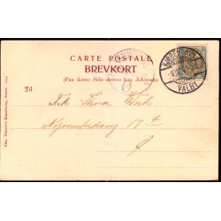 Robert Dinesen i "Man kan,hwad man vil" - Alex Vincent 1014