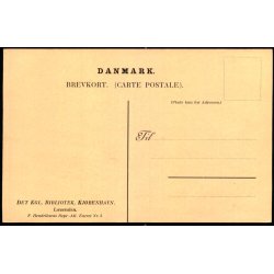  Det KGL.. Bibliotek - Kjbenhavn - Lsesalen - F. Henriksen 3