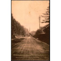 Brahetrolleborg Slot set fra Landevejen - Fotograf A.M. Krog u/n - Ubrugt