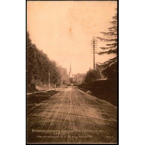 Brahetrolleborg Slot set fra Landevejen - Fotograf A.M. Krog u/n - Ubrugt