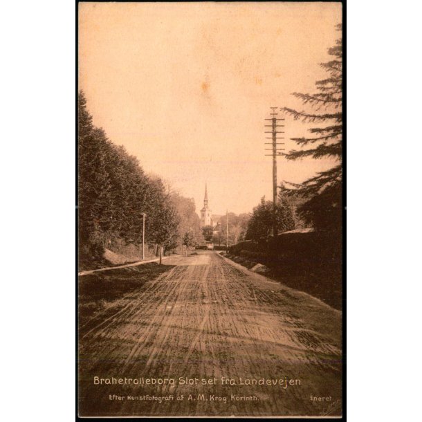 Brahetrolleborg Slot set fra Landevejen - Fotograf A.M. Krog u/n - Ubrugt