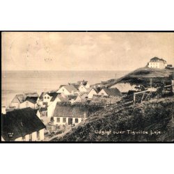 Udsigt over Tisvilde Leje - Albert Jensens Bogh. 79308 - Brugt