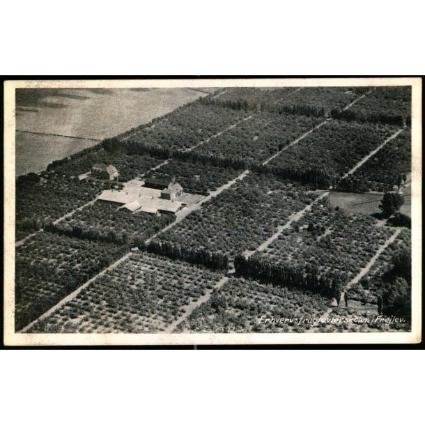 Erhvervsfrugtavlerskolen i Frejlev - Sylvest Jensen - Luftfoto 79411 - Ubrugt