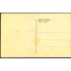 Brahetrolleborg Slot set fra Landevejen - Fotograf A.M. Krog u/n - Ubrugt