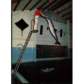 Delfinariet - Ulstrup Slot - Ulstrup - u/n - Ubrugt