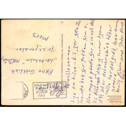 Afrikansk Elefant - Zoologisk Have Eneret