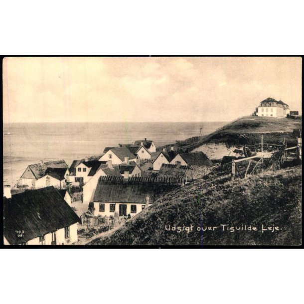 Udsigt over Tisvilde Leje - Albert Jensens Bogh. 79308 - Ubrugt