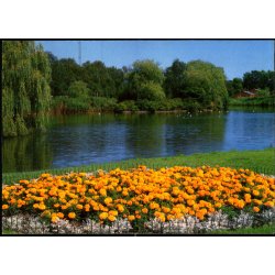 Nyk�bing F. - Parken - Trojaborg NF 6  - Ubrugt