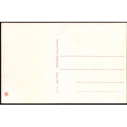 Odense - Parti fra Kongens Have - Stender O. 348 - Ubrugt