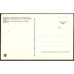 Kbenhavn - Gadervagt foran Kongens Slot - Alex Vincent 668