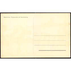 Kbenhavn - Vagtparaden p Amalienborg - u/n