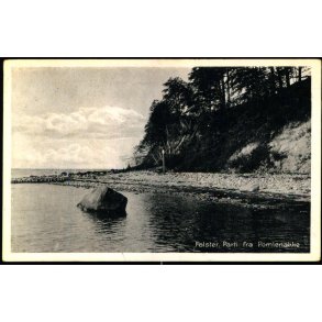 Falster - Parti fra Pomlenakke - Stender N. 26 - Brugt