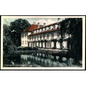 Odense - Parti fra Kongens Have - Stender O. 348 - Ubrugt